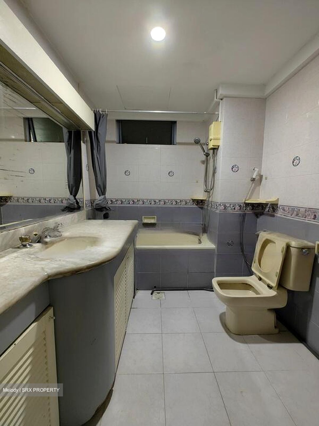 Emerald Park (D3), Condominium #462846251